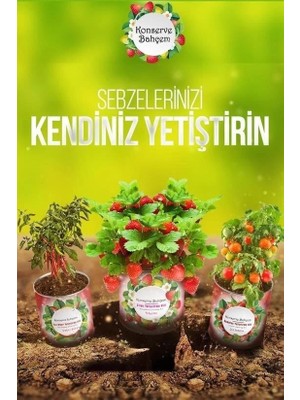 Uravas Store Konserve Bahçem Evde Konservede Sultani Bamya Yetiştirme Kiti