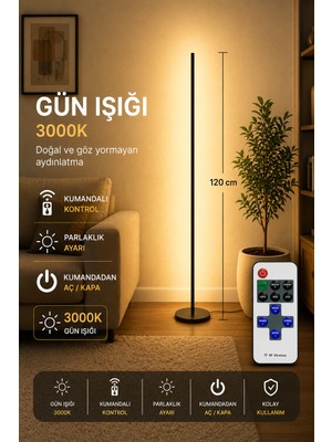 Neeko Luma Gün Işığı 3000K Kumandalı Lambader