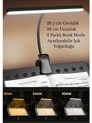 Orvessa Portatif Şarjlı Klipsli Aydınlatma Lambası, Çok Renkli Işıklar Masa ve Gece Lambası