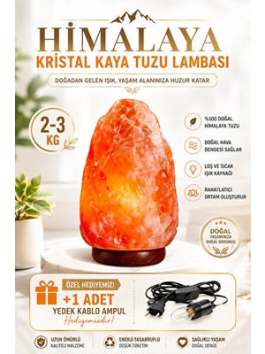 PremiumPort Orvessa 2-3 kg Himalaya Kristal Kaya Tuzu Lambası, Doğal ve Atmosfer Masa ve Gece Lambası