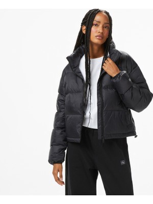 Calvin Klein Graphic Logo Puffer Kadın Siyah Mont