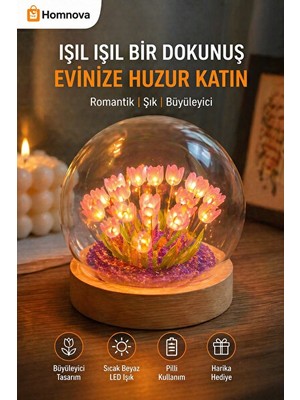 Solvéra Dekoratif LED Cam Fanus Lamba, Pilli ve Şık Gece Lambası Masa ve Gece Lambası