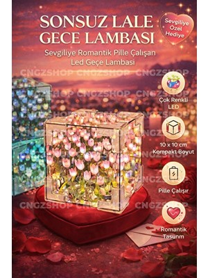 Maison Luré Sevgiliye Özel Pembe 3D Küre Lale Gece Lambası - Dekoratif ve Romantik Masa ve Gece