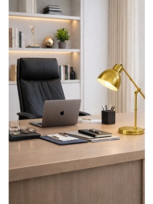 Vaelmont Ayarlanabilir Metal Gövdeli Modern Çalışma Masası Lambası Masa ve Gece Lambası