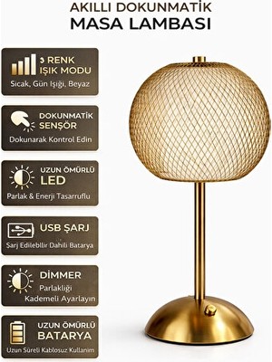 Solvéra Şık Siyah Tel Dekoratif LED Masa ve Gece Lambası, Modern Tasarım