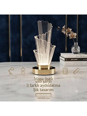 Vaelmont Şık ve Taşınabilir Masa Üstü Dekoratif Aydınlatma, Şarj Edilebilir Masa ve Gece Lambası