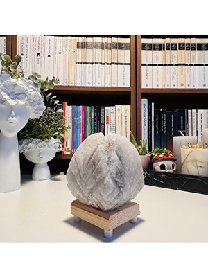 Teknotrust Orvessa Çiçek Temalı Tuz Lambası - Ortamınıza Doğal Atmosfer Katın Masa ve Gece Lambası