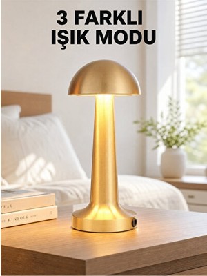 Solvéra Dimmerli LED Masa Lambası, 4-8 Saat Aydınlatma Süresi ile Pratik Kullanım