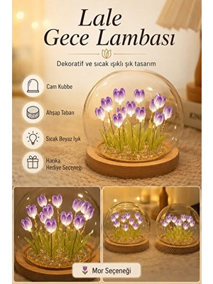 Maison Luré Dıy Lale Tasarımlı Kendin Yap Dekoratif Çiçek Lambası Seti Masa ve Gece Lambası