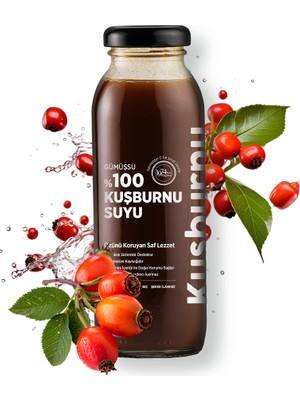 Gümüşsu %100 Kuşburnu Suyu 250 ml 1 Adet