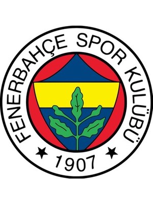 Taç Lisanslı Fenerbahçe Klasik Tek Kişilik Battaniye