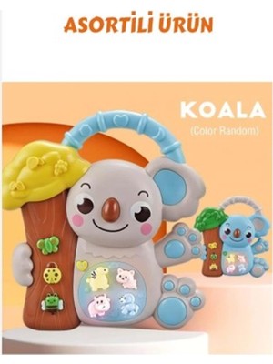 Küçük Hazine 8808-C Koalalı Piyano 8 Li Box