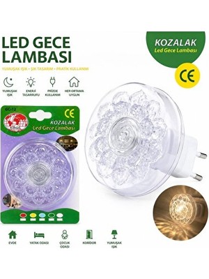Maison Luré Priz Tipi LED Kozalak Gece Lambası Dekorasyonu Masa ve Gece Lambası