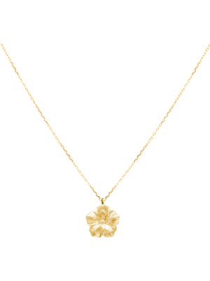 Alegoria Jewellery Bavella Mini 24 Ayar Altın Kaplama 925 Ayar Gümüş Kadın Kolye