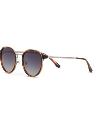 Despada Ds 2371 C3 Havana Metal Unisex Güneş Gözlüğü