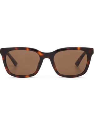 Cerruti 1881 Cr 80064 C2 Havana Asetat Erkek Güneş Gözlüğü