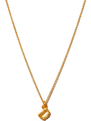 Fidelle Alphabet Pendant Letter Small D Harfi Detaylı 14 Ayar Altın Kadın Kolye