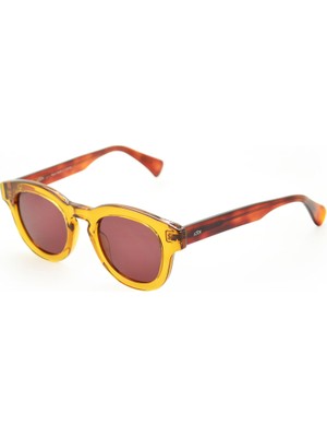 Looklight Pinus Daisy Jellybrown Asetat Unisex Güneş Gözlüğü