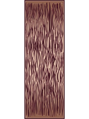 Poanes Zebra Desenli Ipek Kadın Şal
