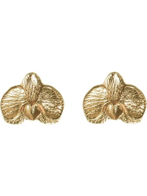 Alegoria Jewellery Orkide  925 Ayar Gümüş Üzeri 24 Ayar Altın Kaplama Kadın Küpe