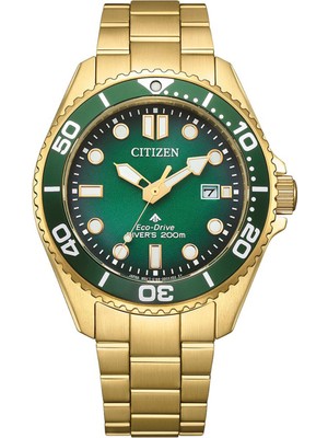 Citizen BN0262-59W Gold Çelik Unisex Kol Saati