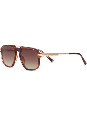 Hermossa Popstar Hm 1747 C4 Havana Altın Rengi Metal Unisex Güneş Gözlüğü