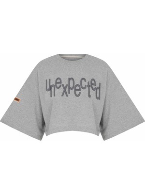 Nasaqu Mımma Oversize Gri Krom Crop T-Shirt