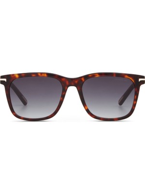 Cerruti 1881 Cr 80043 C2 Kare Havana Asetat Erkek Güneş Gözlüğü