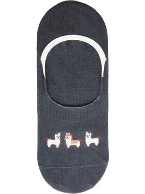 Fundaze Alpaca Desenli Bambu Kadın Babet Çorap