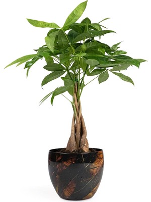 Via Gardenia Vive El Yapımı Metal L Saksı 21X16 cm