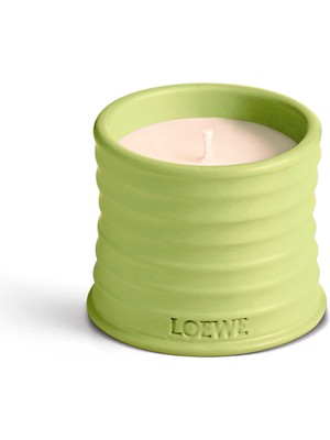Loewe Cucumber 170 gr Mum