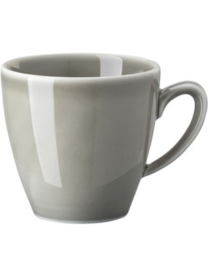 Rosenthal Mesh Gri Porselen Kahve Çay Fincanı