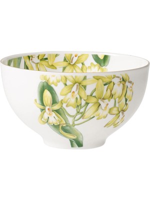 Villeroy & Boch Amazonia Porselen Salata Kasesi 13 cm