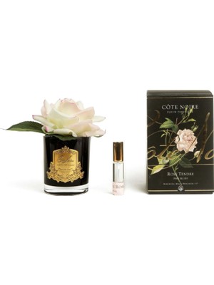 Cote Noire Altın Rengi Gold Oda Kokusu
