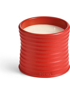 Loewe Tomato Leaves Medium 610 gr Mum