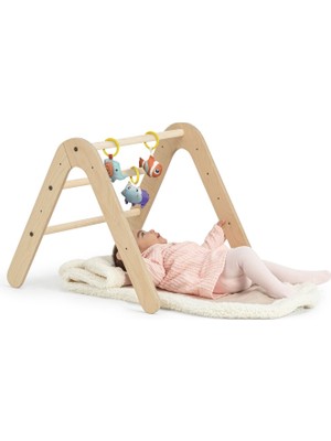 Mamatoyz Gimy Baby Gym Aktivite Alanı ve Kitaplık