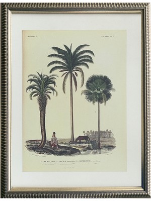 Charette Maison Palm Sketch No.3 Altın Rengi Ahşap Çerçeveli Baskı Tablo