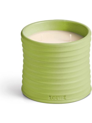 Loewe Cucumber Medium 610 gr Mum