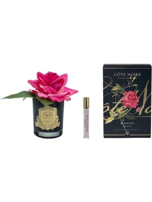 Cote Noire Fuşya Siyah Cam Tek Güllü Oda Kokusu