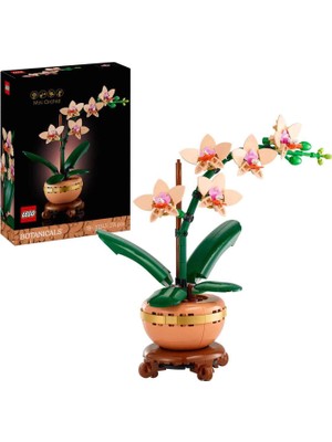 LEGO Botanicals Mini Orkide 274 Parça Yapı Oyuncağı 10343