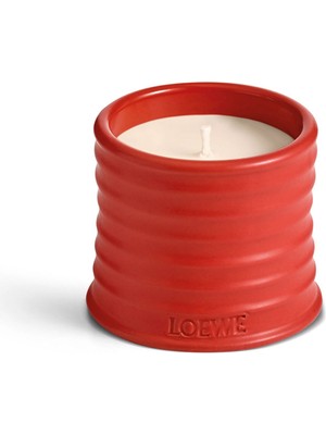 Loewe Tomato Leaves 170 gr Mum
