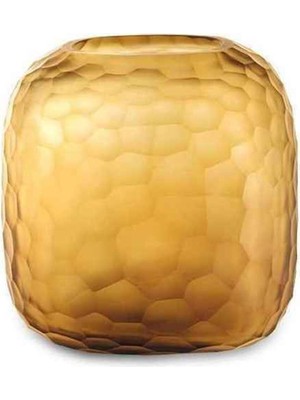 Guaxs Somba Clear Gold Cam Orta Boy Vazo