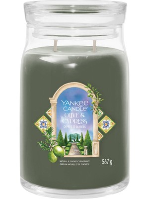 Yankee Candle Olive & Cypress Yeşil Kokulu Mum 567 gr