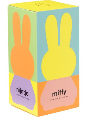 Mr. Maria Miffy Blind Box Sürpriz Renkli Mini Çocuk Odası Lamba