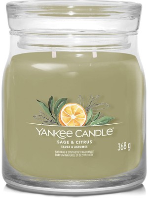 Yankee Candle Sage And Citrus Yeşil Kokuku Orta Mum 368 G