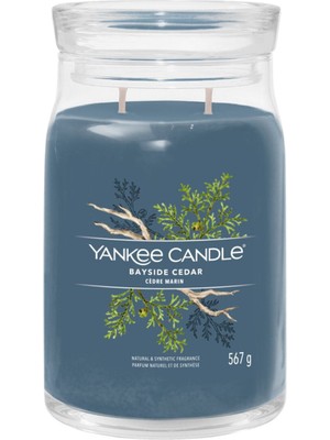 Yankee Candle Bayside Cedar Mavi Meyve Kokulu Mum 567 gr
