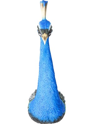 Kare Design Peacock Duvar Süsü