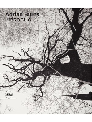 Skira Adrian Burns (Bilingual Edition): Imbroglio Yabancı Dil Fotoğraf Kitabı