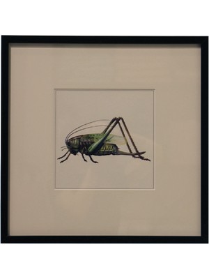 Lasttouch No 8 Tablo 45X45 cm
