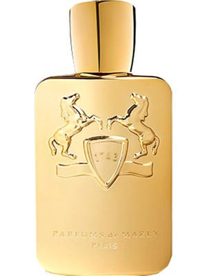 Parfums de Marly Godolphin 125 ml Erkek Parfüm